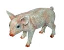 Pig Standing 21X9X14cm