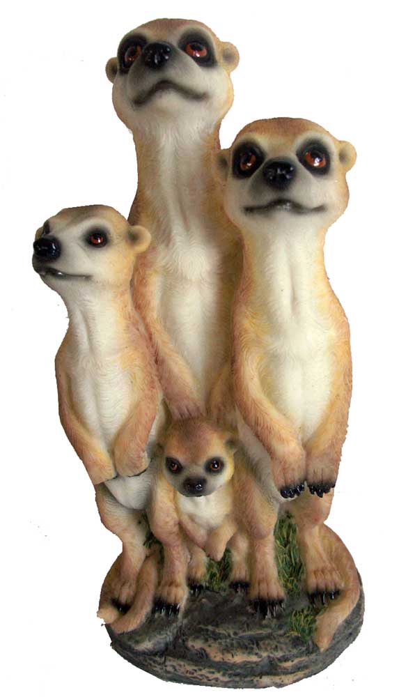 Meerkat Family On Base
