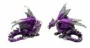 Dragon Purple Set Of 2