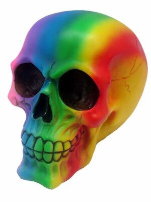 Skull Rainbow Colours