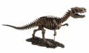 Dinosaur Skeleton On Stand