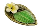 Ash Catcher Wide Leaf