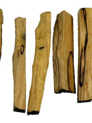 Holy Wood Palo Santo 80g