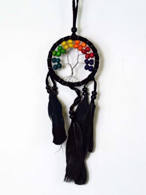 Dream Catcher Black Tree