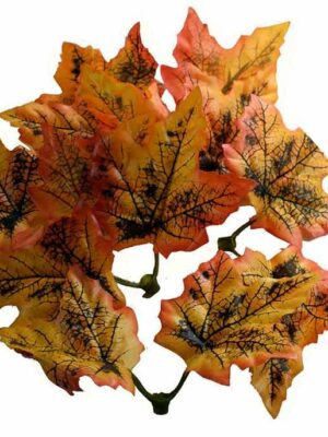 Autumn Leaves 50pcs