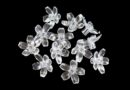 Daisies Clear 100pcs