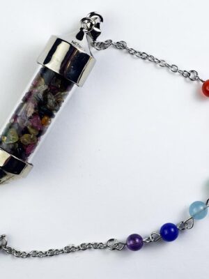 Pendulum Chip Bottle Multicolour