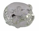 Glass Pig Clear