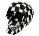 Skull Head With Check Print