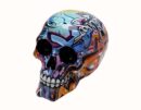 Skull Colourful 15X10.5X12cm