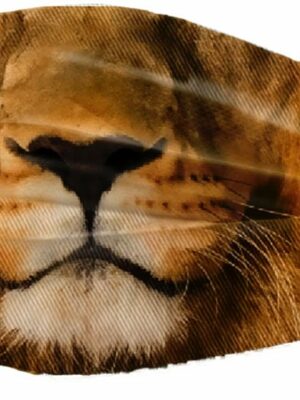 Mask Lion 2PCS