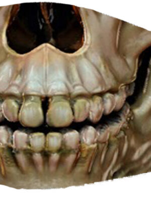 Mask Skull 2PCS