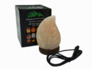 Salt Lamp Leaf USB 12cm