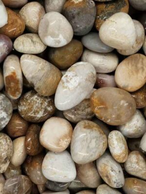 Tumblestone Fossil Coral