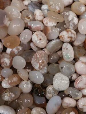 Tumblestone Flower Agate