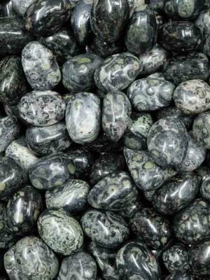 Tumblestone Kambaba Jasper