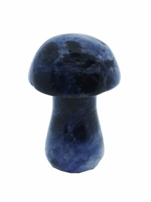 Mushroom Sodalite 25mm