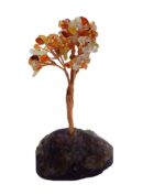 Tree Chip Carnelian on Flourite