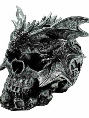 Skull 20.5 X 19 X 17cm