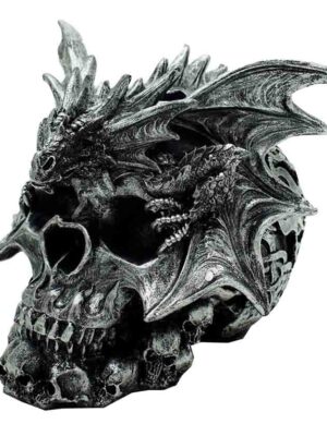 Skull 20.5 X 19 X 17cm