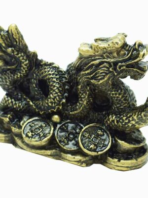 Dragon Bronze Col on Coins 8cm