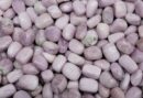 Tumblestone Kunzite 2-3cm