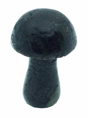Mushroom Larvikite 25mm