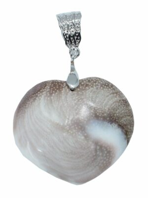 Pendant Heart Shiva Shell