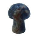Mushroom Sodalite 20mm