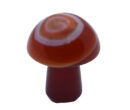 Mushroom Stripe Carnelian 20mm