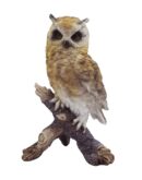 Owl Yellow Sitting On Tree