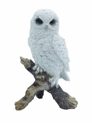 Owl White Sitting On Tree