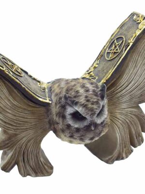 Owl Brown With Pentagram