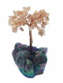 Tree Chip Peach Moonstone On Rainbow Aura