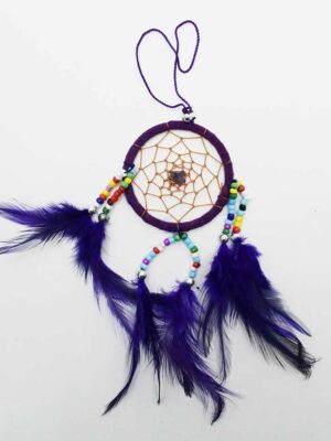 Dream Catcher Purple Small Wit