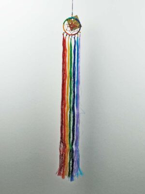 Dream Catcher With Chakra Tassels