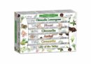 Incense Hex Citronella Co 12