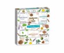 Incense Cone Aroma Floral 12