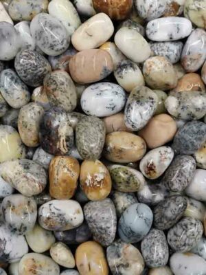 Tumblestone Dendrite Opal 2-3cm