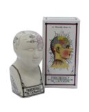 Phrenology Head