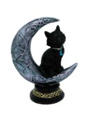 Cat Black On Moon Large