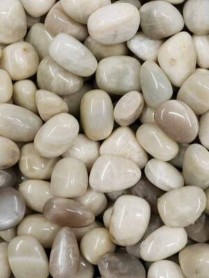 Tumblestone White Moonstone