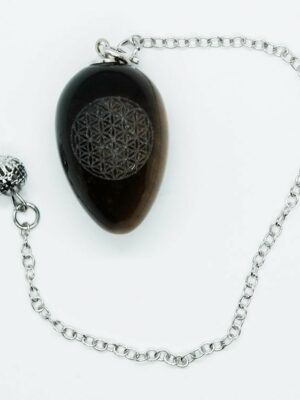 Pendulum Egg FOL Tiger Eye