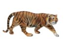 Tiger Standing 43.5X17.5X19cm