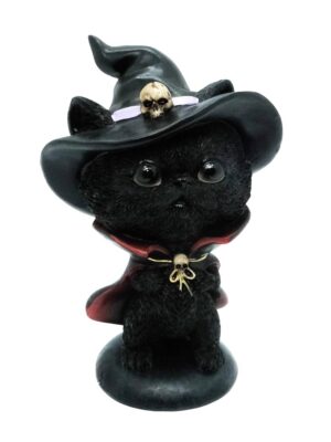 Cat Black Hat and Skull 15cm