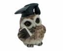 Owl Brown With Book 12cm