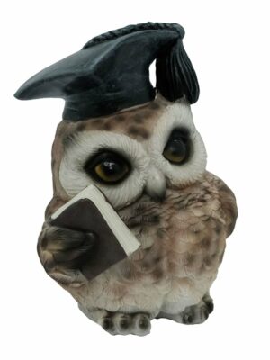 Owl Brown With Book 12cm