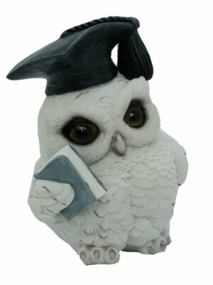 Owl White With Book 12cm