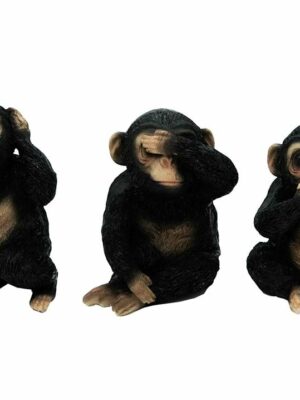 Monkeys See Hear Say No Evil