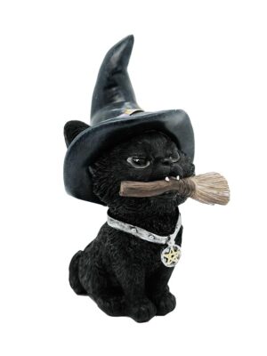 Cat Witchy With Pentagram